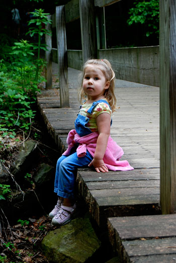 bridge