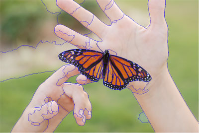 butterflyoriginal