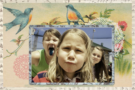 birdpostcard