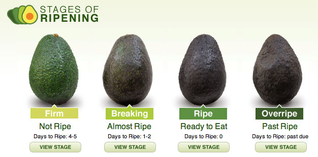 ripe avocado chart